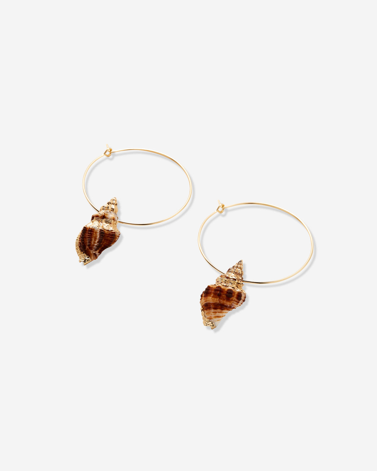 Sea Seeker Hoop Earrings
