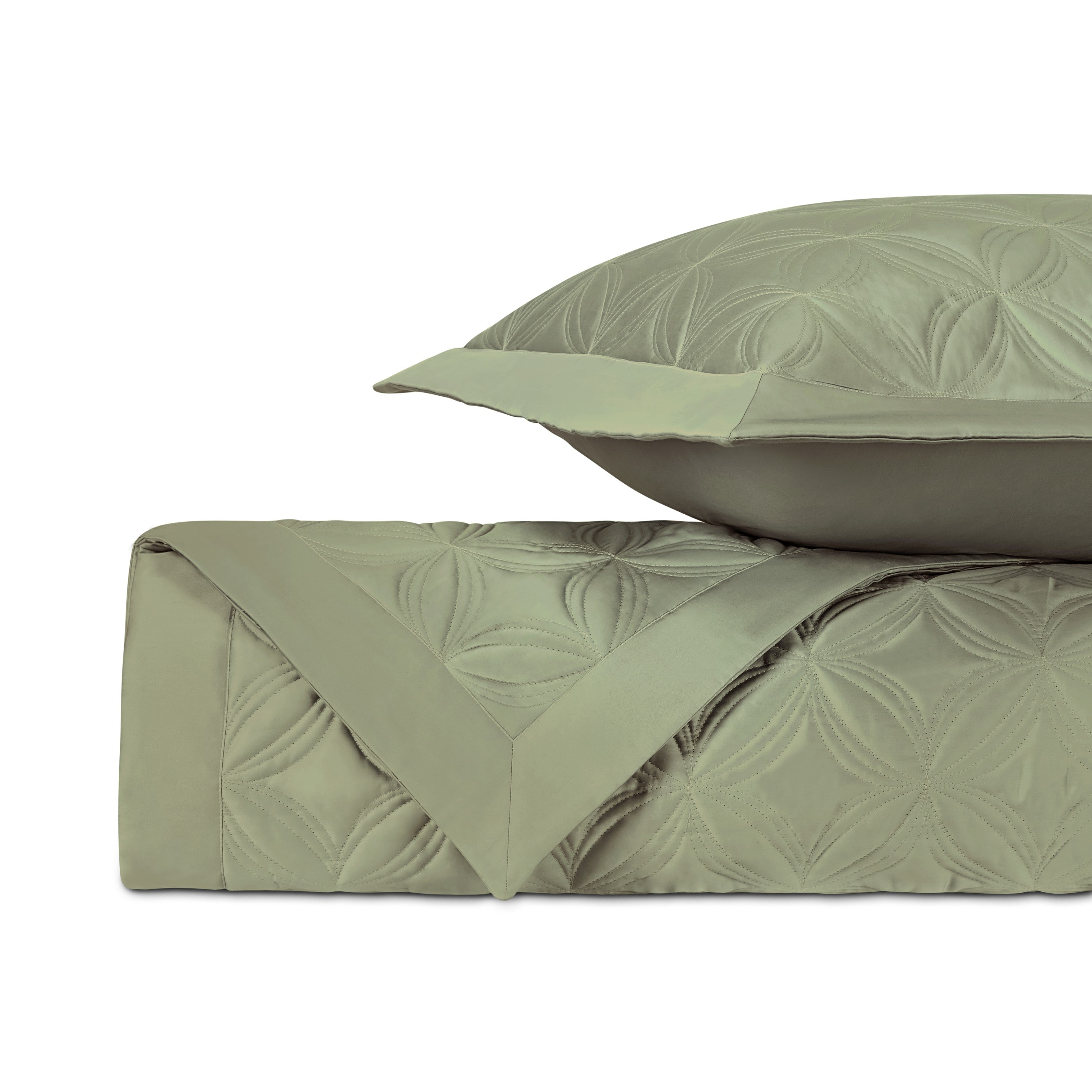 Dara Quilted Coverlet (euro) Set