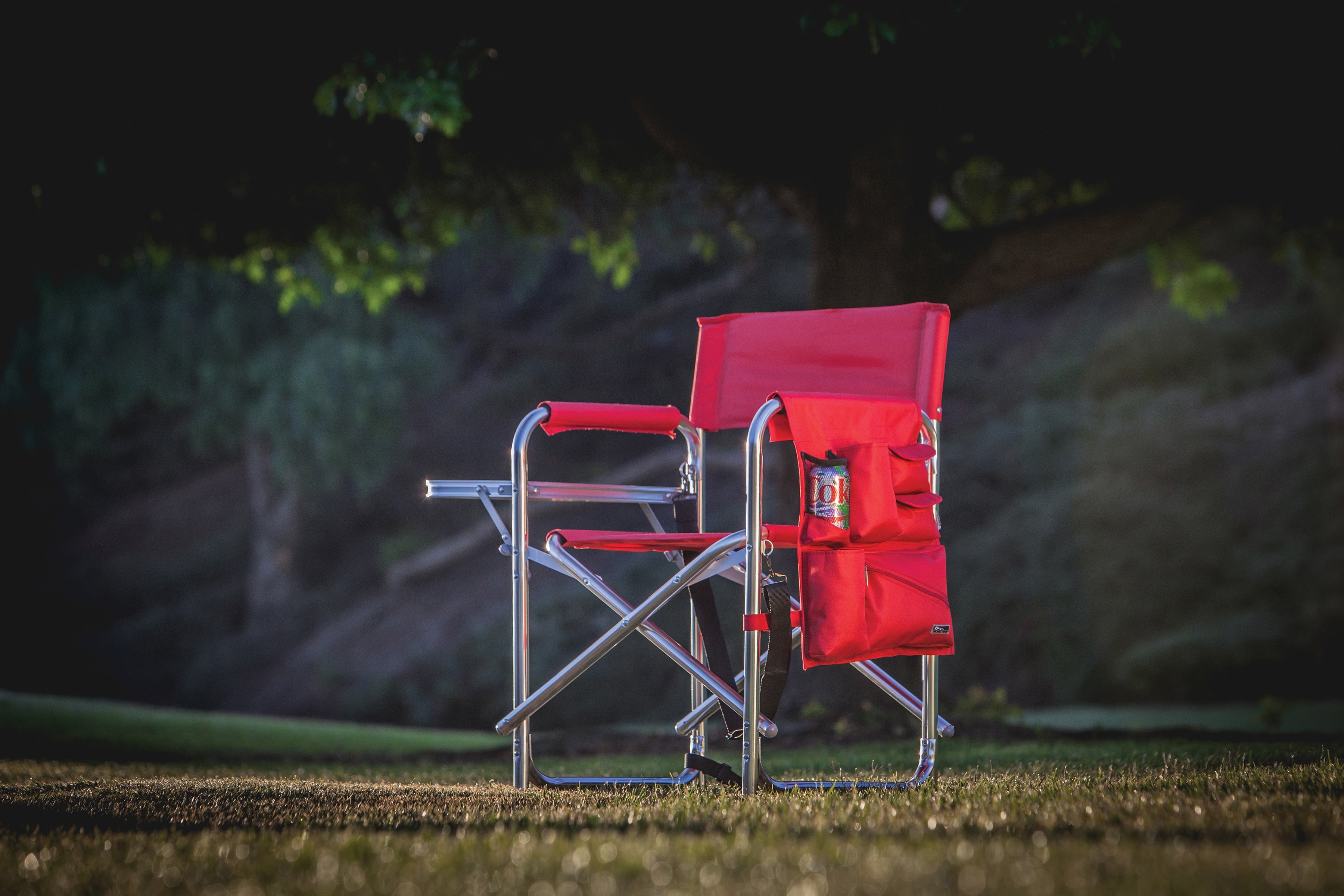 Purple Sports Chair With Side Table