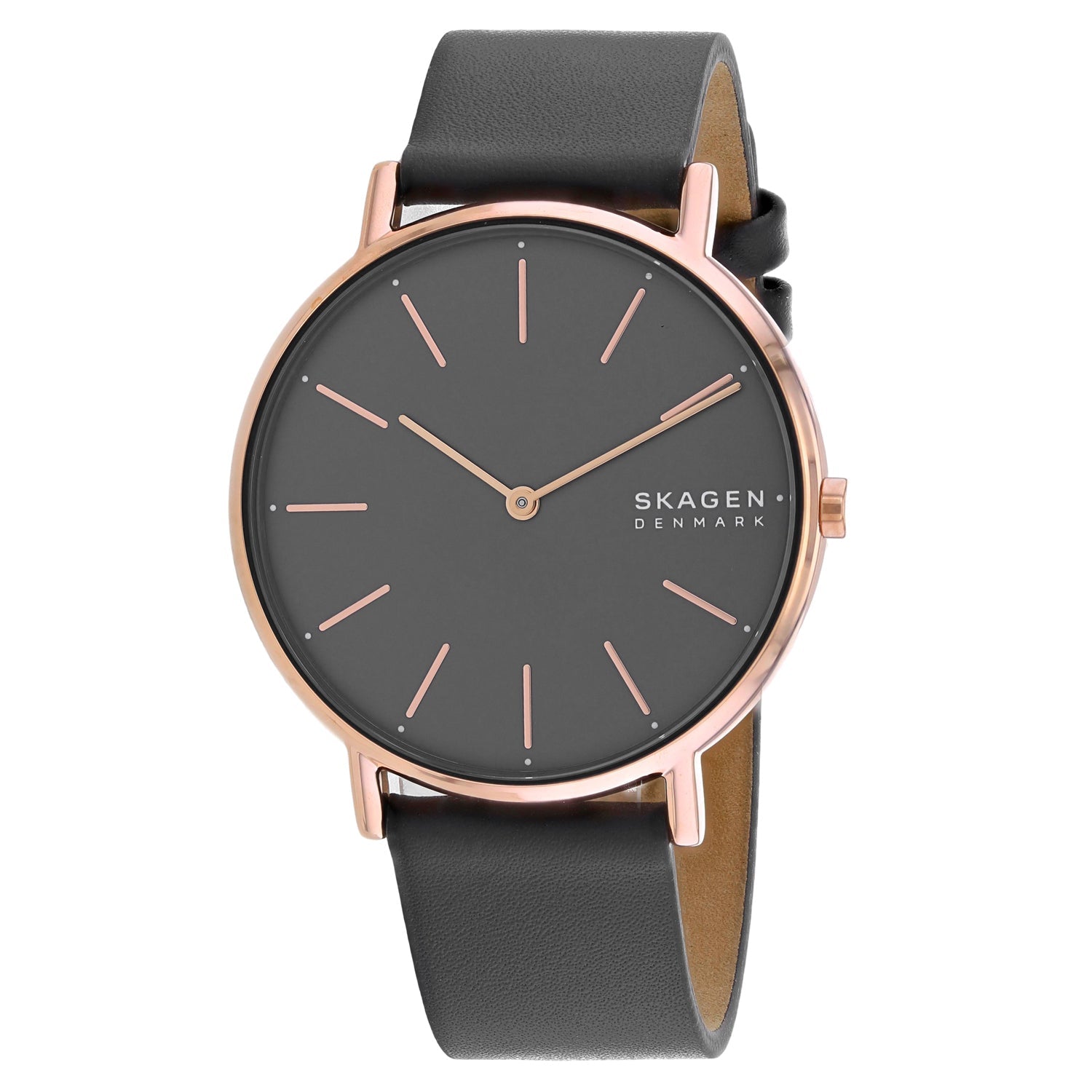 Skagen Women's Signatur Watch