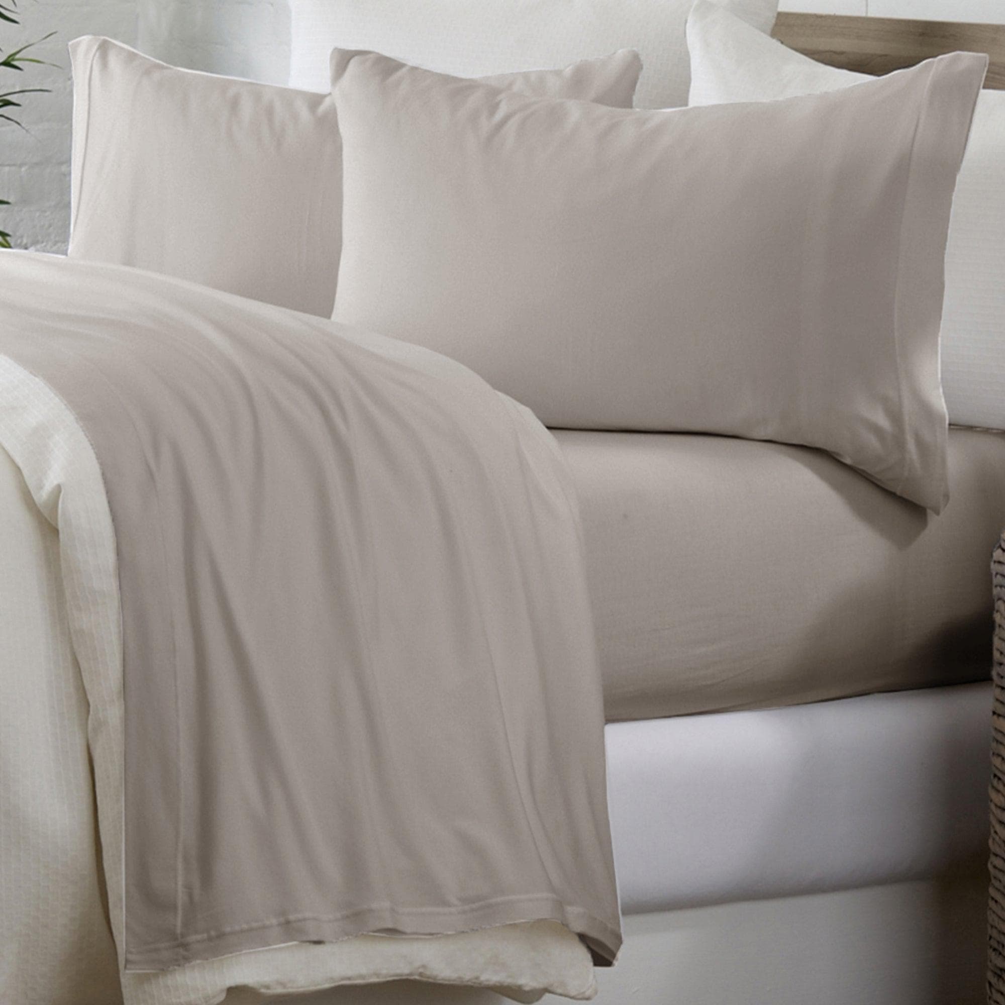 4-piece Cotton Sheet Set - Murphy Collection