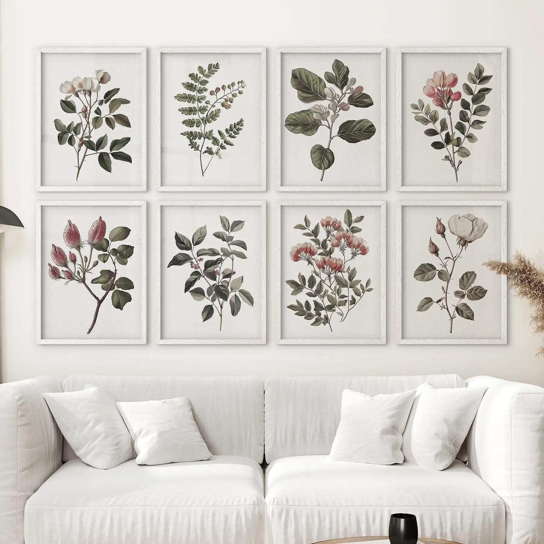 Antique Botanical Set of 8 White Rose Wall Art Prints
