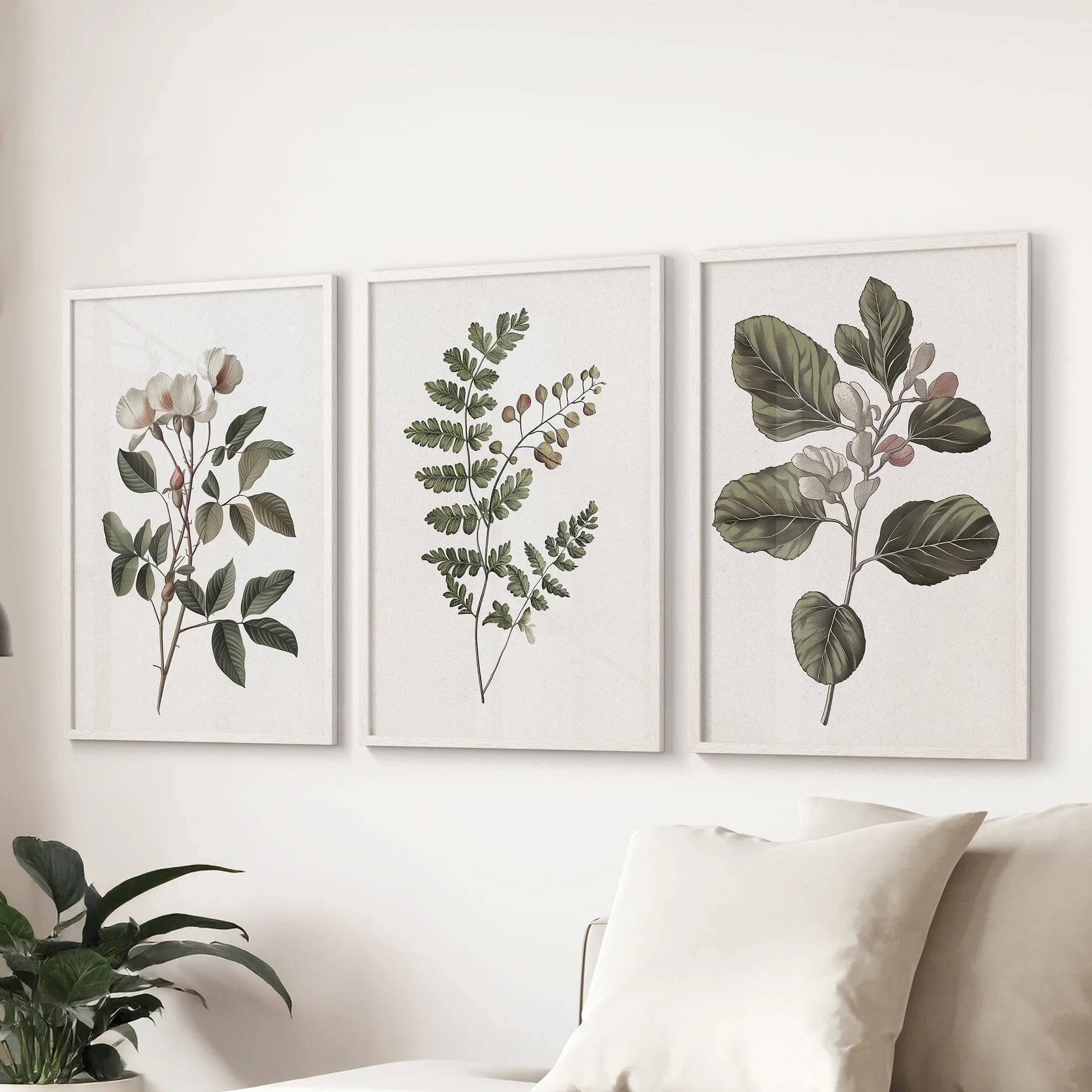 Three Minimalist Lithographic Plants Botanical Art Prints