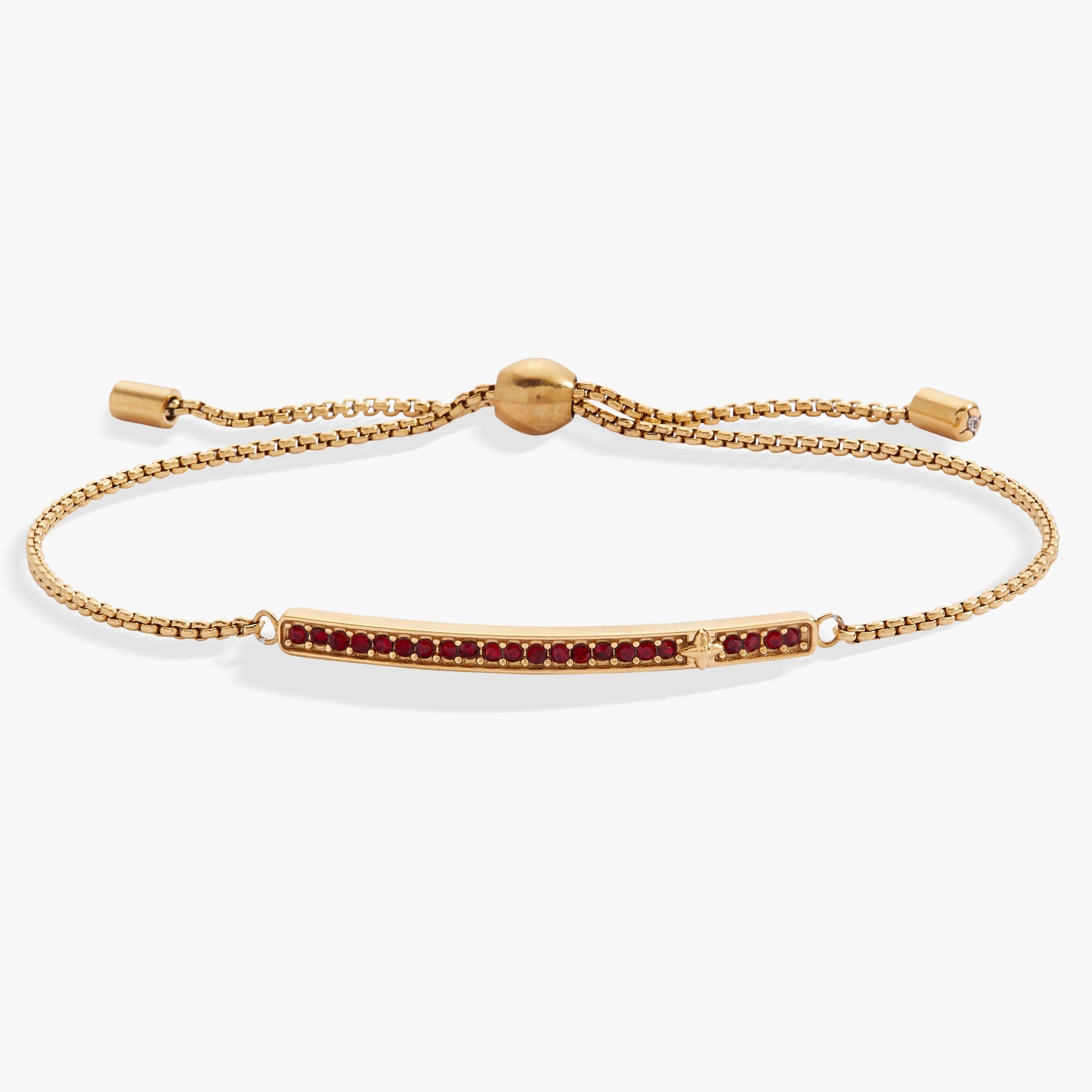 January Everyday Birthstone Pave Bolo Bracelet
