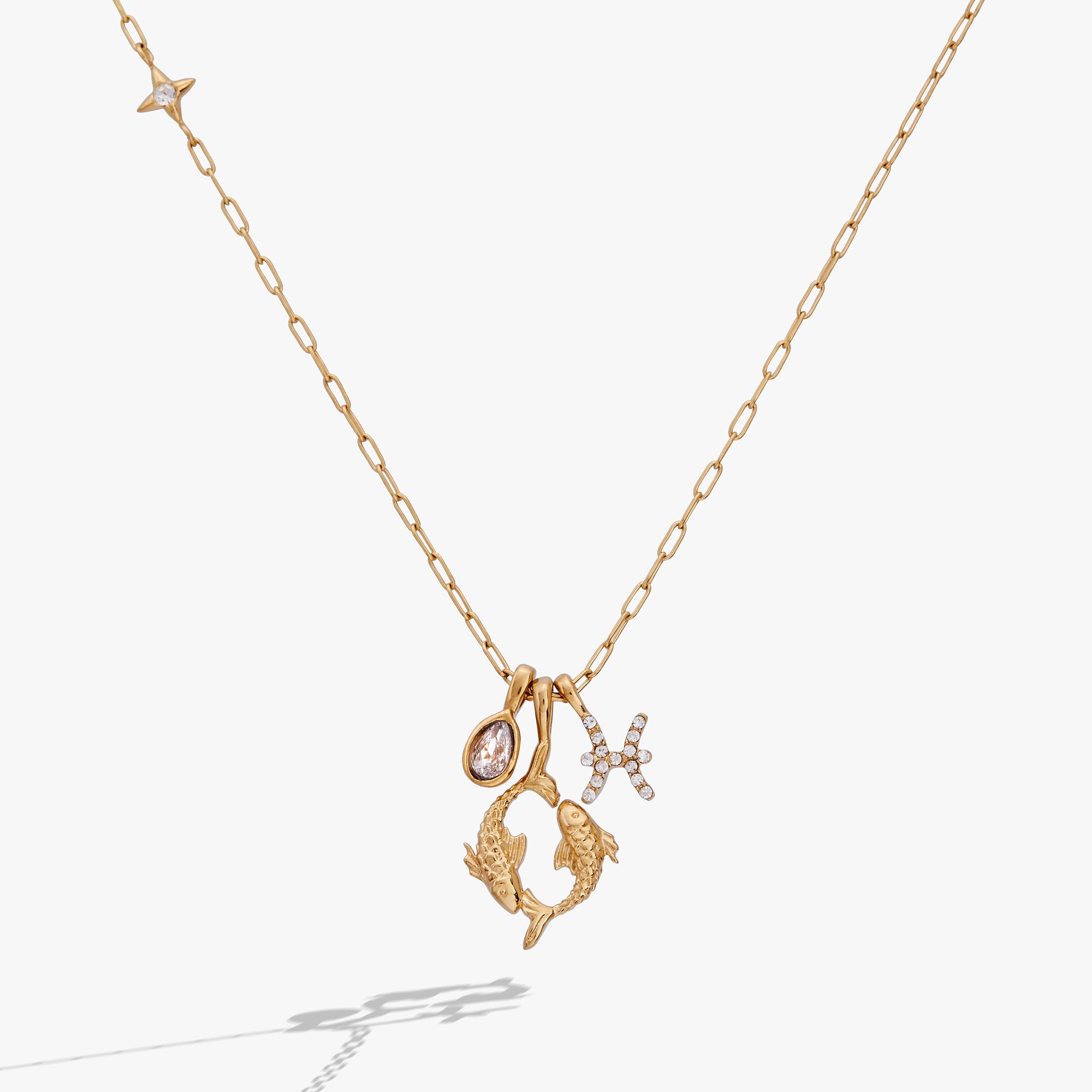 Pisces Zodiac Charm Cluster Necklace