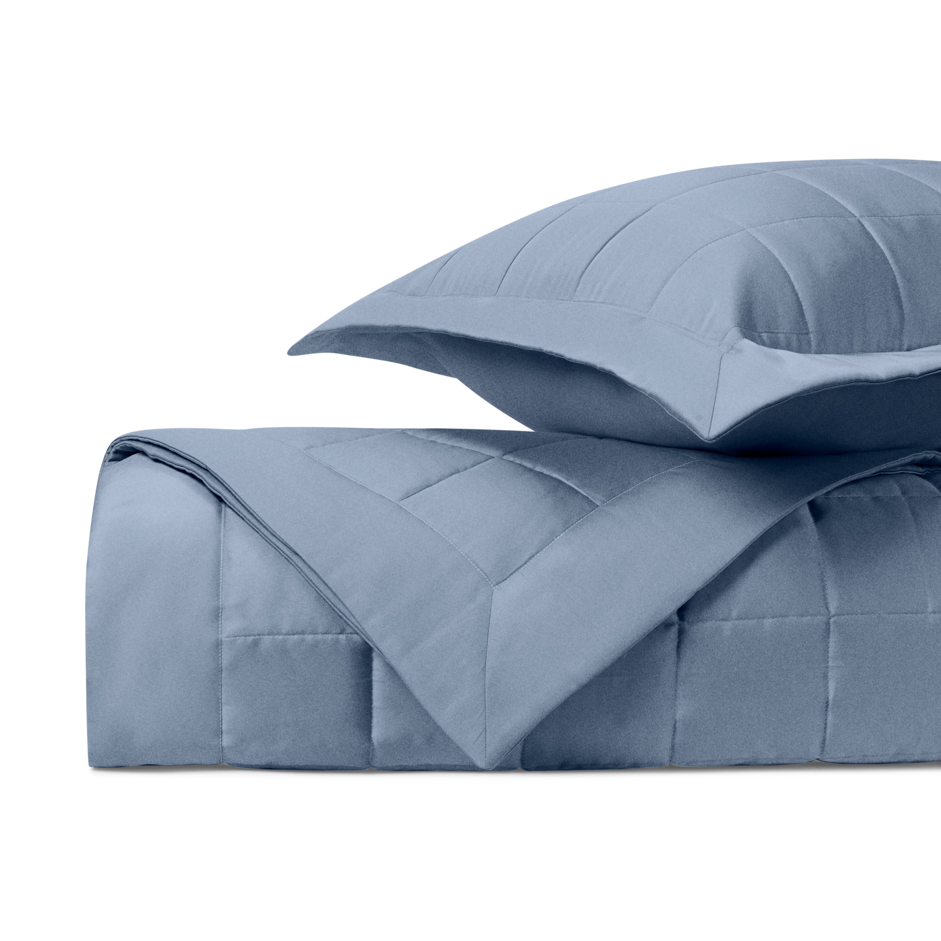 Jackson Quilted Coverlet (euro) Set