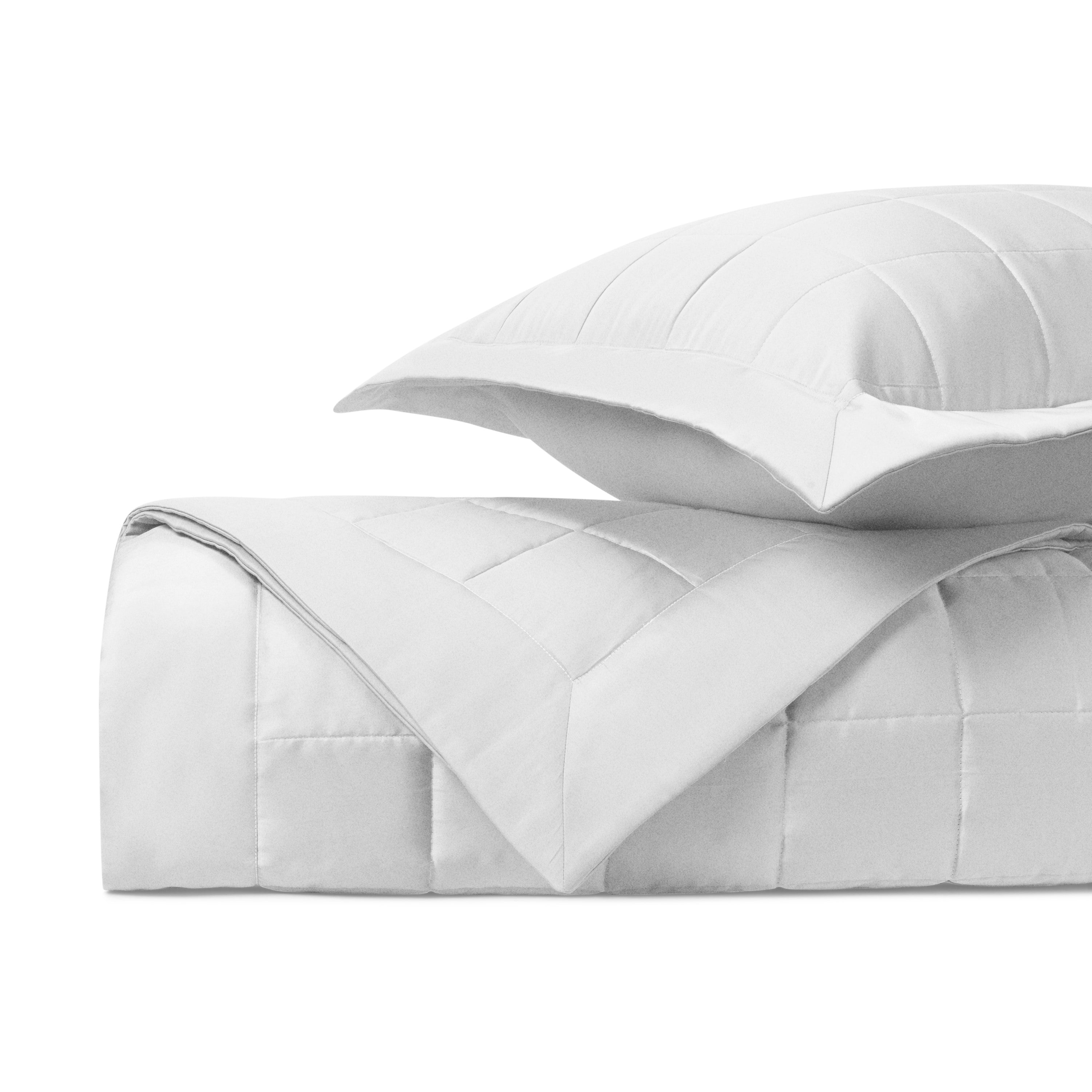 Jackson Quilted Coverlet (euro) Set
