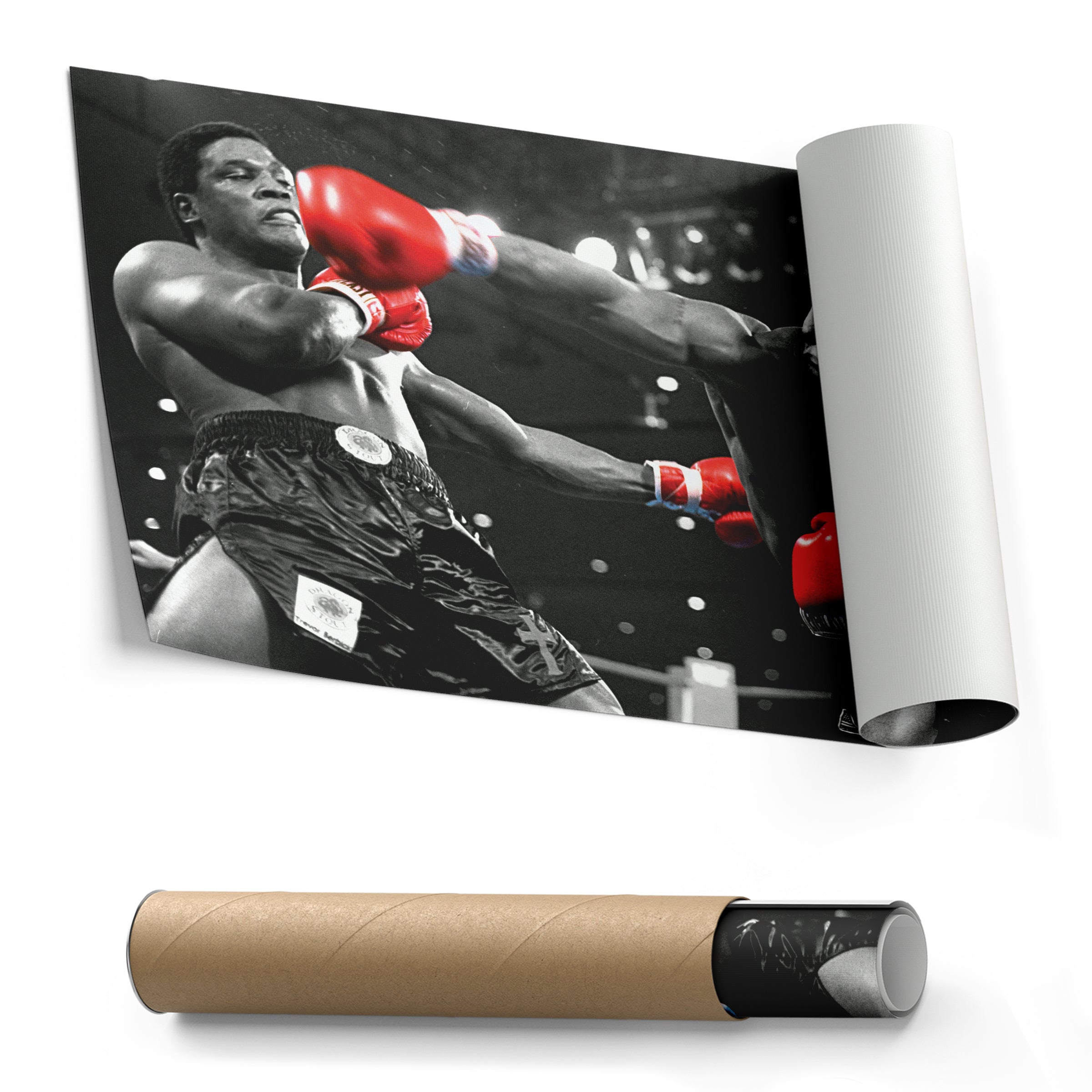 Mike Tyson vs. Trevor Berbick Canvas Art – Boxing Wall Decor