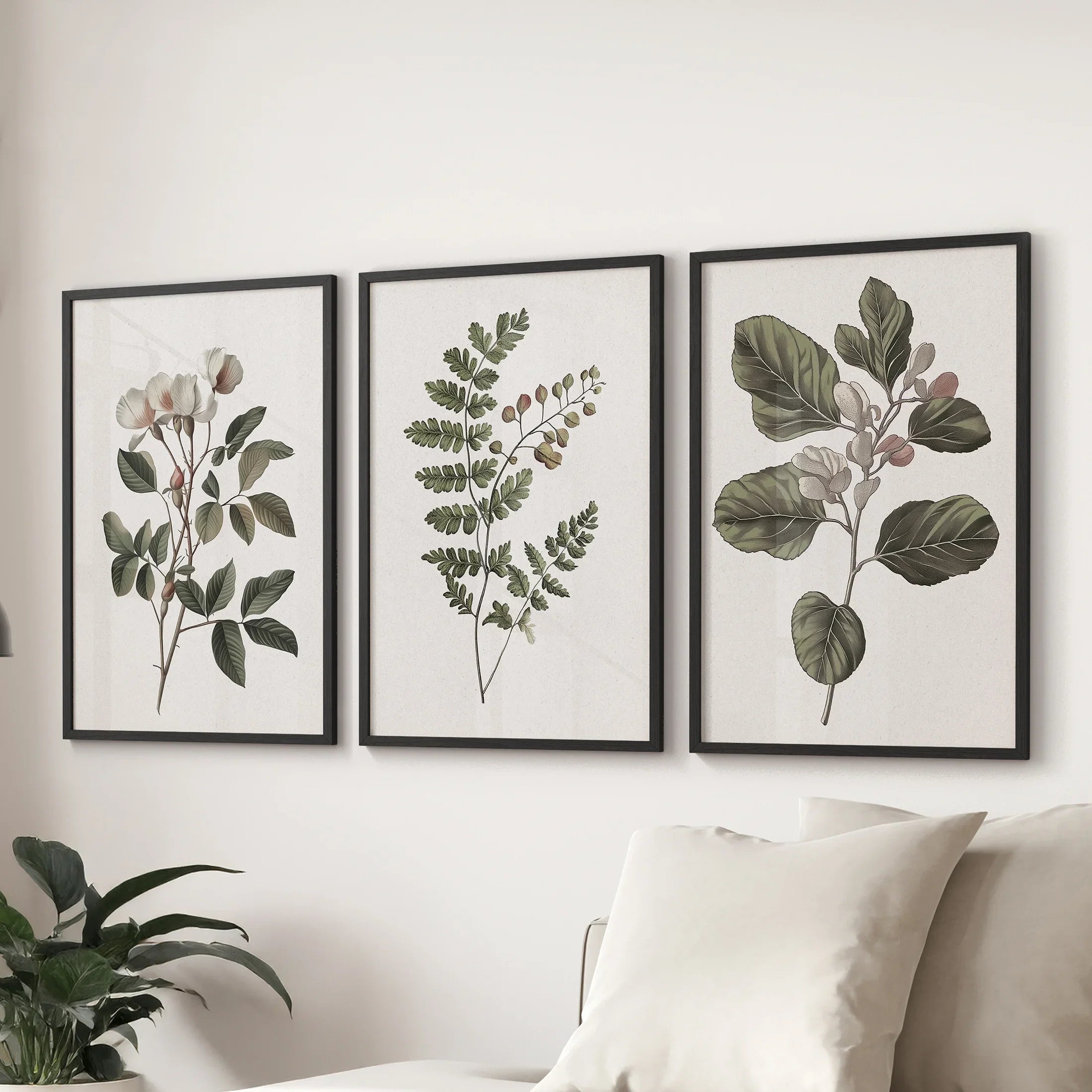 Three Minimalist Lithographic Plants Botanical Art Prints