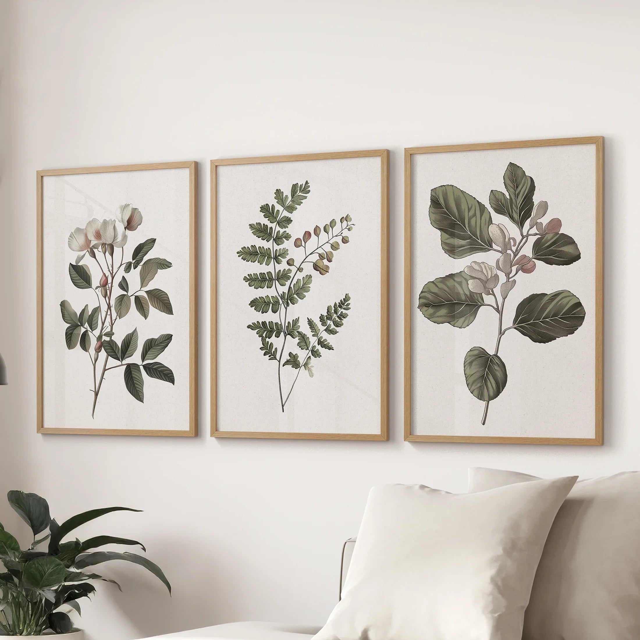 Three Minimalist Lithographic Plants Botanical Art Prints