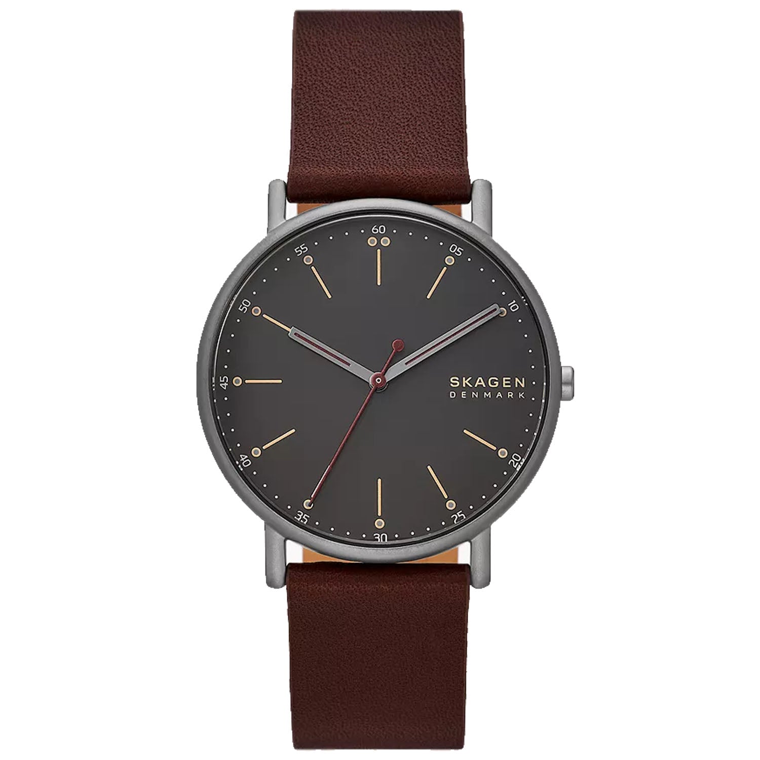 Skagen Men's Signatur Watch
