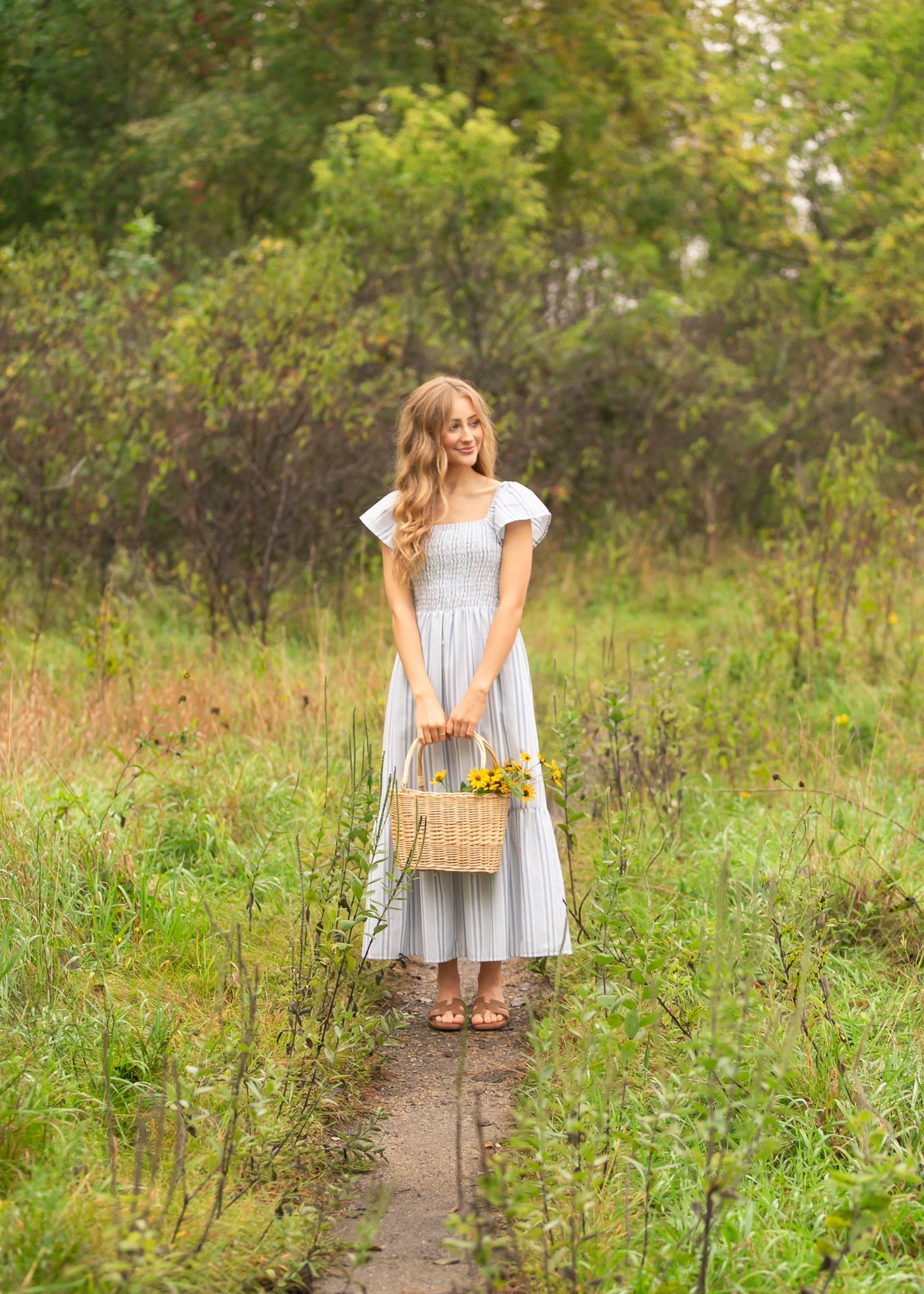 Summer Blue Stripe Flutter Sleeve Midi Dress