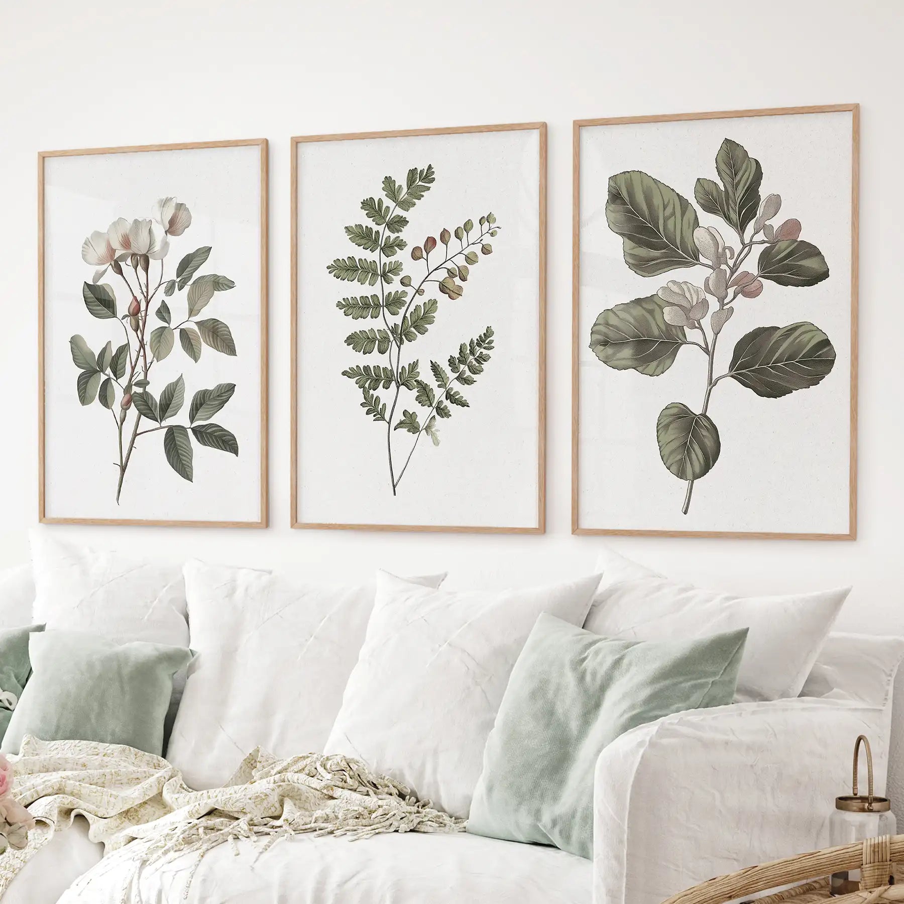 Three Minimalist Lithographic Plants Botanical Art Prints