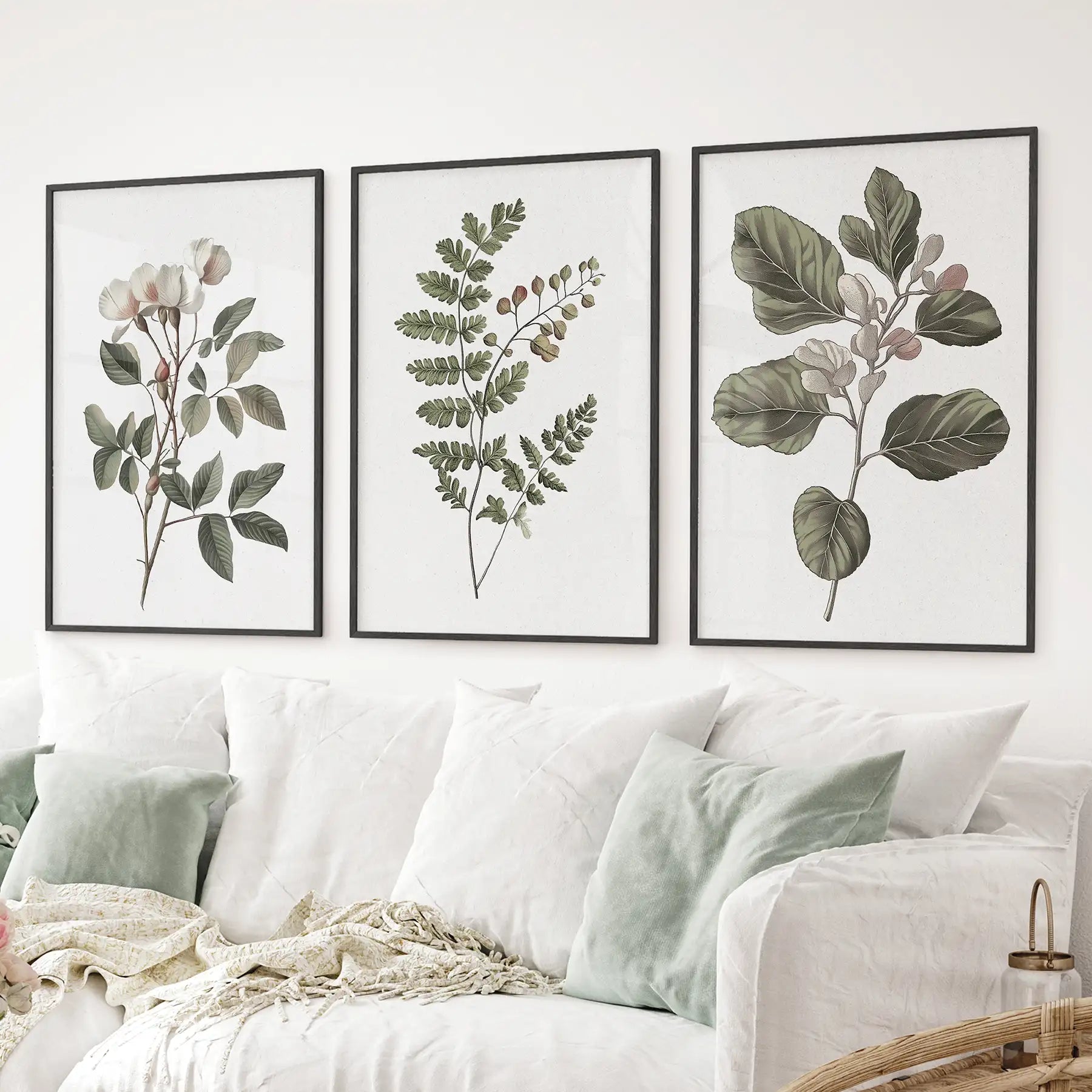 Three Minimalist Lithographic Plants Botanical Art Prints
