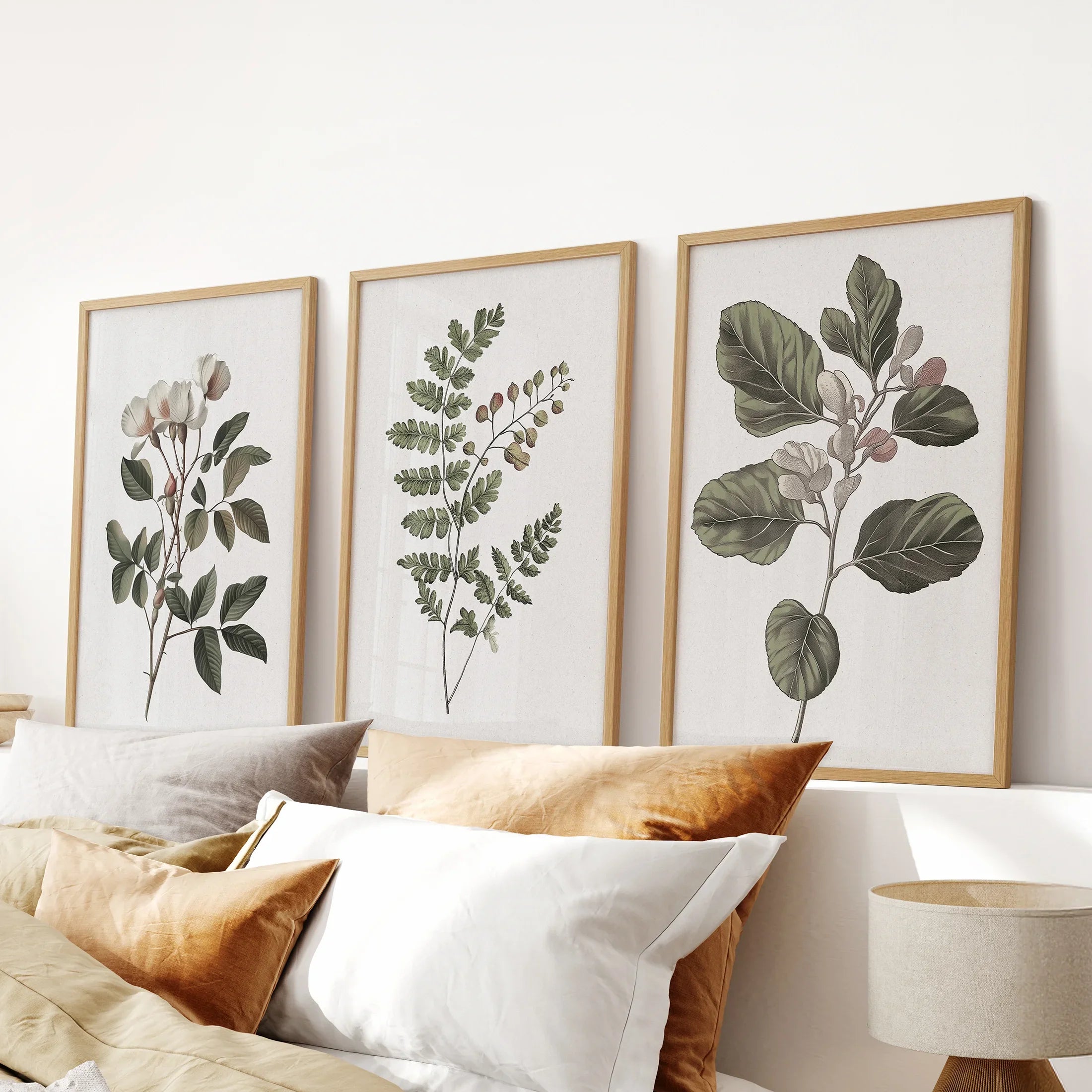 Three Minimalist Lithographic Plants Botanical Art Prints