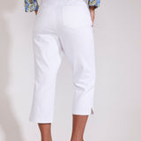 Westport Signature Capri with a Dolphin Hem - Plus