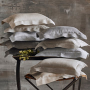 Zebra Quilted Coverlet (euro) Set